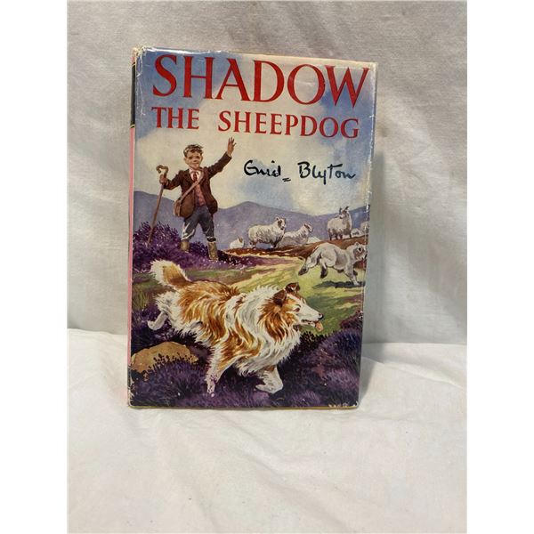 Shadow the sheepdog