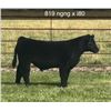 Image 1 : Steer Calf - Tag #: 819