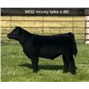 Image 1 : Steer Calf - Tag #: 8832