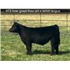 Image 1 : Steer Calf - Tag #: 913
