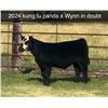 Image 1 : Steer Calf - Tag #: 2024