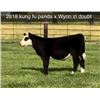 Image 1 : Steer Calf - Tag #: 2618