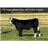 Image 1 : Steer Calf - Tag #: 17B