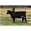 Image 1 : Heifer Calf - Tag #: 22E