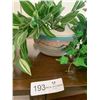 Image 6 : 3 x Potted Artificial Plants