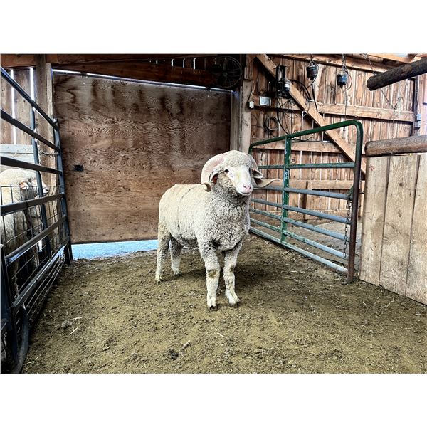 1900 Dominion of Danada Twenty-Five Cent Bill