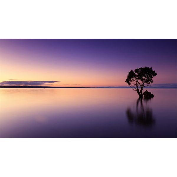 This truck is actually a rock