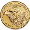 Image 2 : 2022 American Gold Eagle 1oz Liberty GEM BU