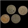 Image 1 : (4) Large Cents CLOSELY UNCIRCULATED