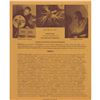 Image 2 : Kenneth Strickfaden Signed Advertisement