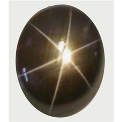 2.9ct RARE  Oval Cabochon Black Star Sapphire (GEM-8296A)