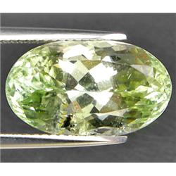 11.38ct Top AAA Mozambique Light Green Kunzite  VVS (GEM-8725)