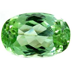 16.49ct Dazzling Natural Clean Green Kunzite Oval VVS (GEM-9246)