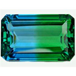 49.50ct  Supreme  Octagon Bi Color Quartz FLAWLESS (GEM-9268)