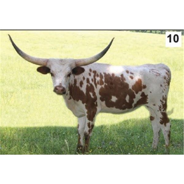 SH Freeway Droop 83/9