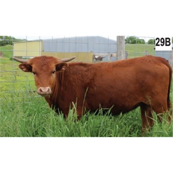 TC Sister Minnie Mabel