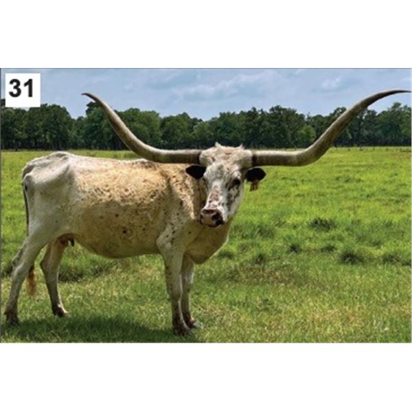 LITTLE ACE PRECIOUS 14/9