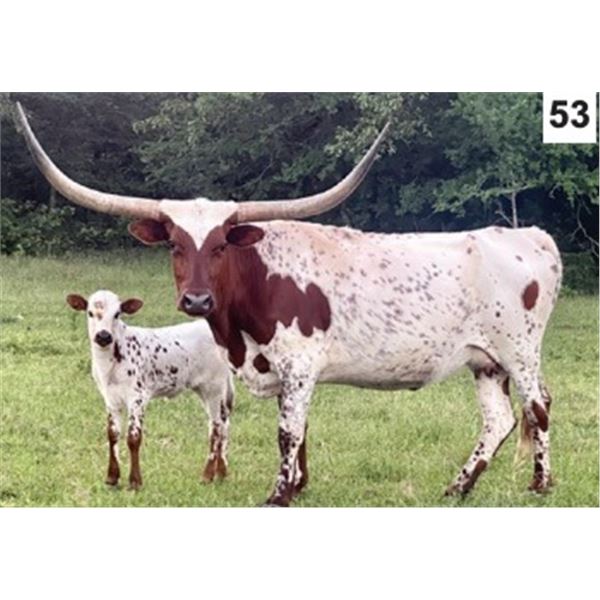 DALGOOD'S CANDY GRAVES