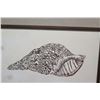 Image 2 : Large Framed Art: 2 Shells "Triton conch" on Canvas 31 x 41, Signed (canvas has faint brown spots)