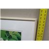 Image 8 : Large Framed Art: Lilikoi Passion Flowers, 36x38, Signed Janet Holaday 1981 (has age spots & scratch
