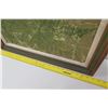 Image 8 : Framed Art on Canvas: "Woodhouse Fern", 22x28, Signed Charles Armour Robinson '73