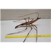 Image 8 : Large Wooden Prawn, Approx. 18" Long