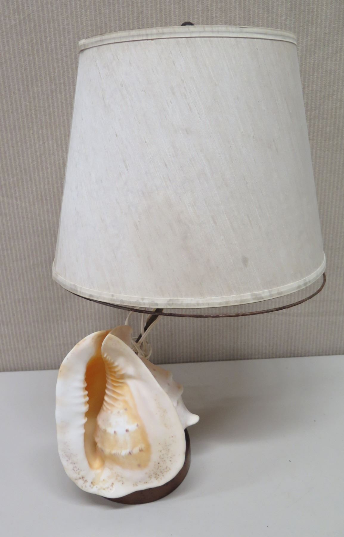 Lamp with Conch Shell Base, Approx. 26