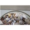 Image 2 : Large Round Glass Bowl Filled w/ Various Seashells, 12.5" Dia