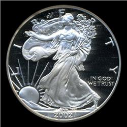 2002W Silver Eagle PROOF Graded GEM PR70 (COI-4072)
