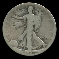 1921 Walking Liberty Half  Circulated (COI-4352)