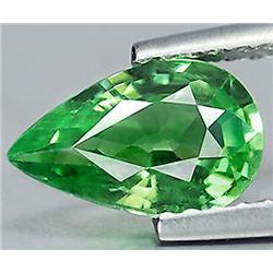 1ct VERY RARE Ultra Hot Lustrous Mint Green Tsavorite Garnet VVS RETAIL $3600 (GEM-7799)