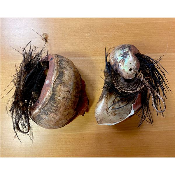 PAPUA NEW GUINEA: LOT of 2 turbo shells