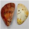 Image 1 : PAPUA NEW GUINEA: Rossel Island (Yela), LOT of 2 ndap shell monies
