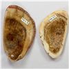 Image 2 : PAPUA NEW GUINEA: Rossel Island (Yela), LOT of 2 ndap shell monies