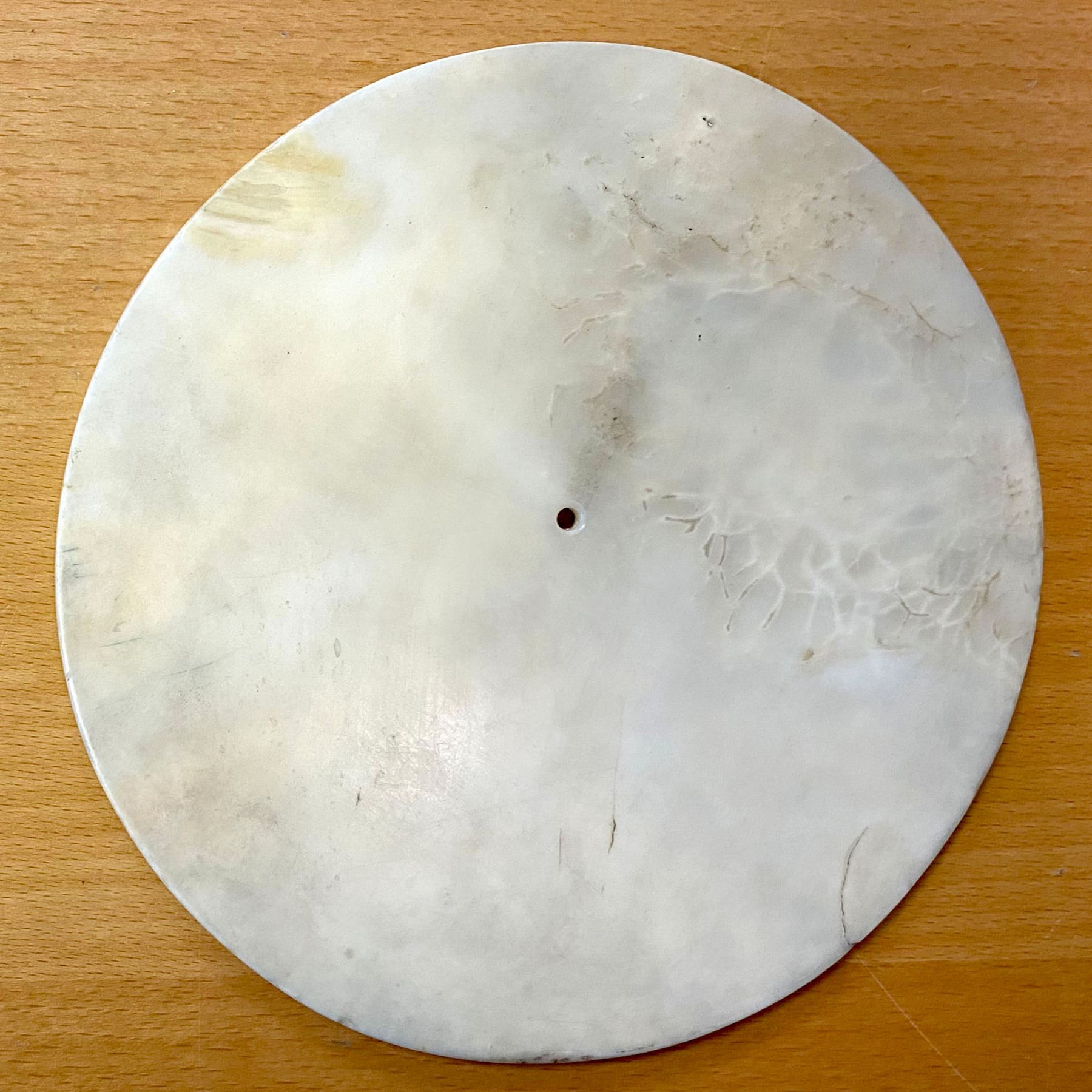 SOLOMON ISLANDS: fossilized shell disc (431.29g), EF
