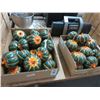Image 1 : Lot of Pumpkin Décor