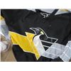 Image 2 : Lemieux Team Jersey