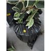 Image 2 : Silk Tree w/Planter