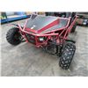 Image 3 : 2021 Batman 200 177cc 8.7 HP Side By Side Kart