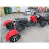 Image 6 : 2021 Jiangsu Freedom 149cc 10 HP Trike
