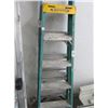 Image 1 : Werner 6' FG Stepladder