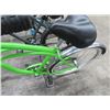 Image 3 : Green Regions Beach Cruiser