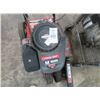 Image 2 : TroyBilt 9" Gas Lawn Edger