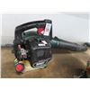 Image 1 : Bolens Gas Blower  _Missing Air Flter