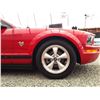Image 33 : D4 --  2009 FORD MUSTANG, Red, 126724 KM's