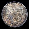 Image 2 : 1890-s Morgan Dollar $1 Grades Select+ Unc