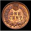 Image 3 : 1905 Indian Cent 1c Graded ms64 rb By SEGS