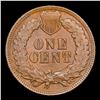 Image 3 : 1902 Indian Cent 1c Grades Select Unc RD