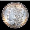 Image 2 : 1884-p Morgan Dollar $1 Grades Choice+ Unc