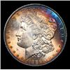 Image 2 : 1886-p Morgan Dollar $1 Grades Choice+ Unc